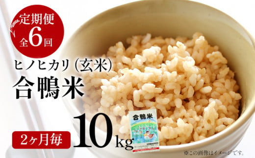令和8年産 合鴨米「ヒノヒカリ」（玄米・10kg）定期便6回コース 数量限定 ※令和8年10月スタートの定期便 BI05