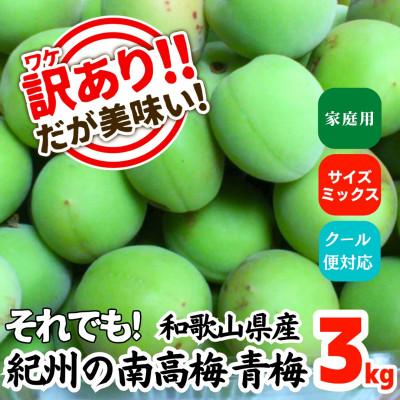 ふるさと納税 有田川町 青梅 南高梅 約3kg 訳あり サイズミックス 和歌山県産 B品