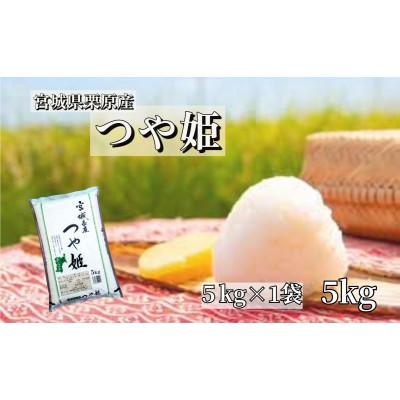 ふるさと納税 栗原市 【令和7年産】宮城栗原産 つや姫 白米5kg (5kg×1袋)