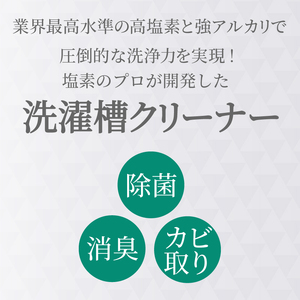 洗濯槽クリーナー 200g 1回分 WASHMANIA 洗濯槽クリーナー ドリームチーム