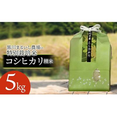 ふるさと納税 鶴岡市 【令和7年産】特別栽培米コシヒカリ 精米 5kg 黒川まるいし農場[K-745]
