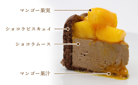 贅沢マンゴーショコラケーキ【4号サイズ】 おきぽた ケーキ マンゴー スイーツ 専門店 チョコ フルーツデザート トロピカルスイーツ 沖縄 お土産 人気 おすすめ パーティー バースデー Xmasケー