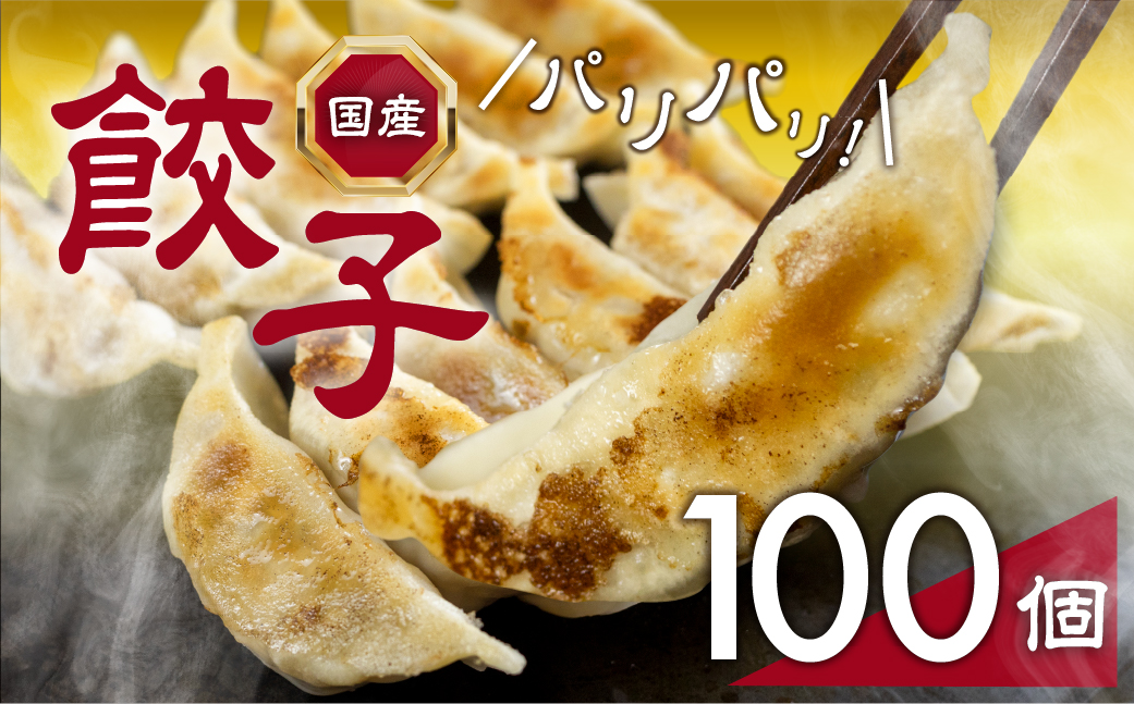 パリっとおいしい国産餃子！たっぷり100個！