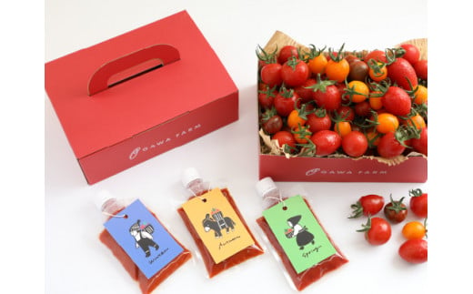 
香TOMATOスペシャリテBOX<OGAWA　FARM>
