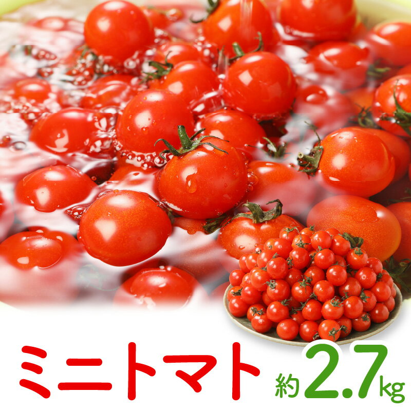 【ふるさと納税】ミニトマト約2.7kg【2025-11月上旬～2026-6月中旬配送】 | トマト プチトマト 野菜 甘味 酸味 バランス 夏野菜 高品質 産地直送 家庭用 自宅用 贈り物 お取り寄せ お取り寄せ野菜 冷蔵 香川県 高松市