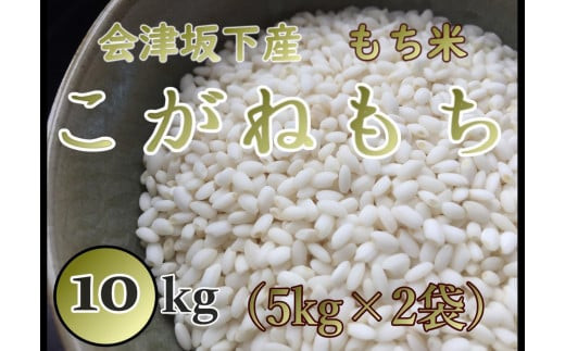 36-C　T.Farming　こがねもち（令和6年産米）会津坂下産もち米　10kg（5kg×2袋）｜ 福島県 会津坂下町発の「こがねもち」は、粘りとコシのある国産の単一米です。お赤飯やお餅、おこわに最適です。※沖縄・離島への配送不可