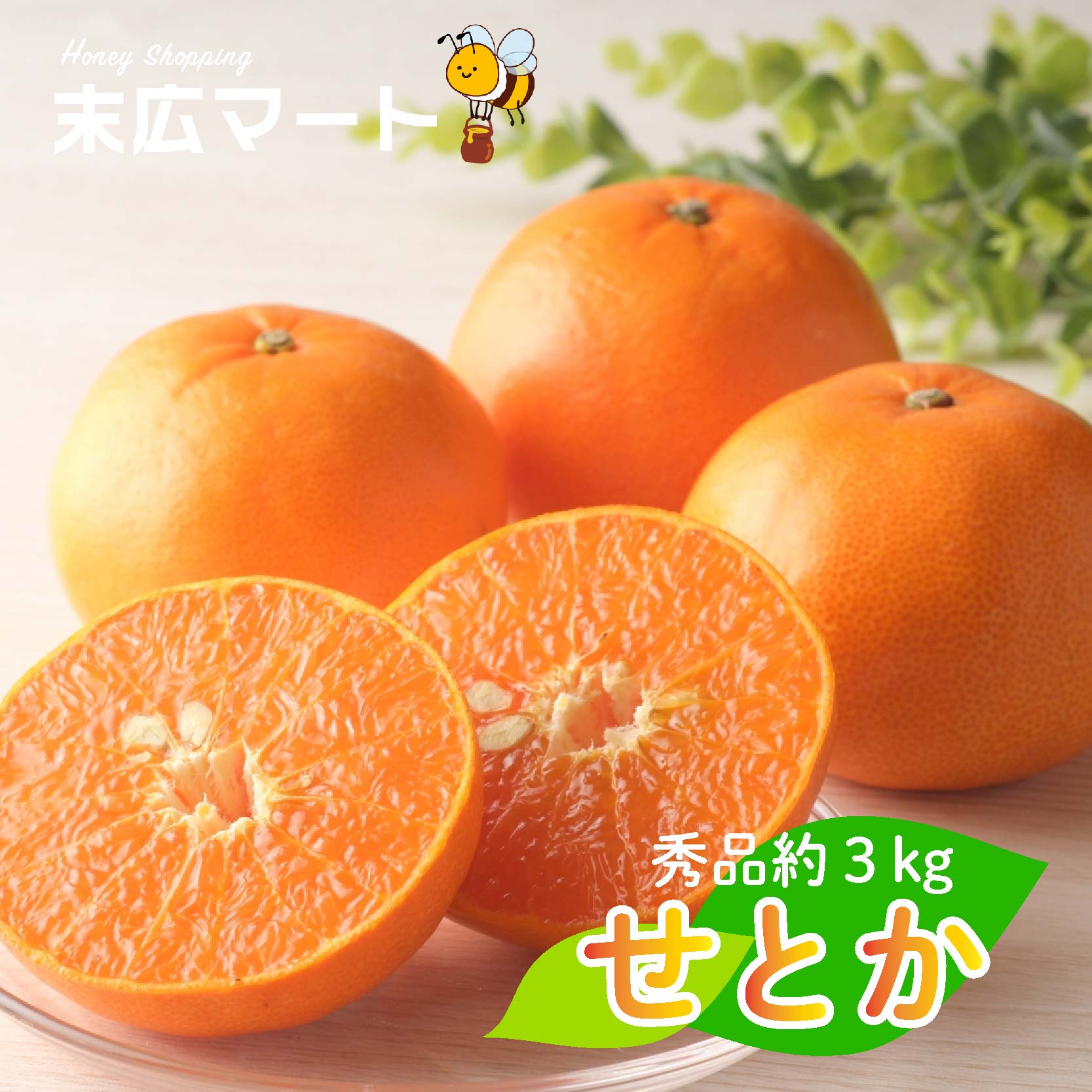 【ふるさと納税】 【2027年3月上旬ごろから発送予定】せとか 約 3kg (9~13玉) | 3月発送 柑橘 蜜柑 みかん ミカン 秀品 愛媛 松山市 柑橘 高級 糖度