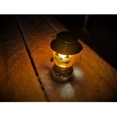 ふるさと納税 伊達市 いつでもJack-Oランタングローブ　#660タイプ |  | 02
