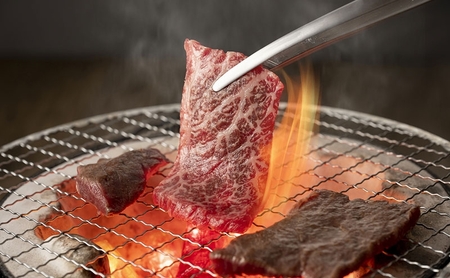 淡路ビーフ 焼肉用 500g 250g × 2p 肉 お肉 牛肉 焼肉 BBQ 兵庫県 洲本市 淡路島