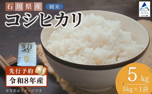 【先行予約】令和8年産 石川県産コシヒカリ 精米 5kg(5kg×1袋) お米 白米 こしひかり｜石川県 小松市 【坂下農産】 bf001m01