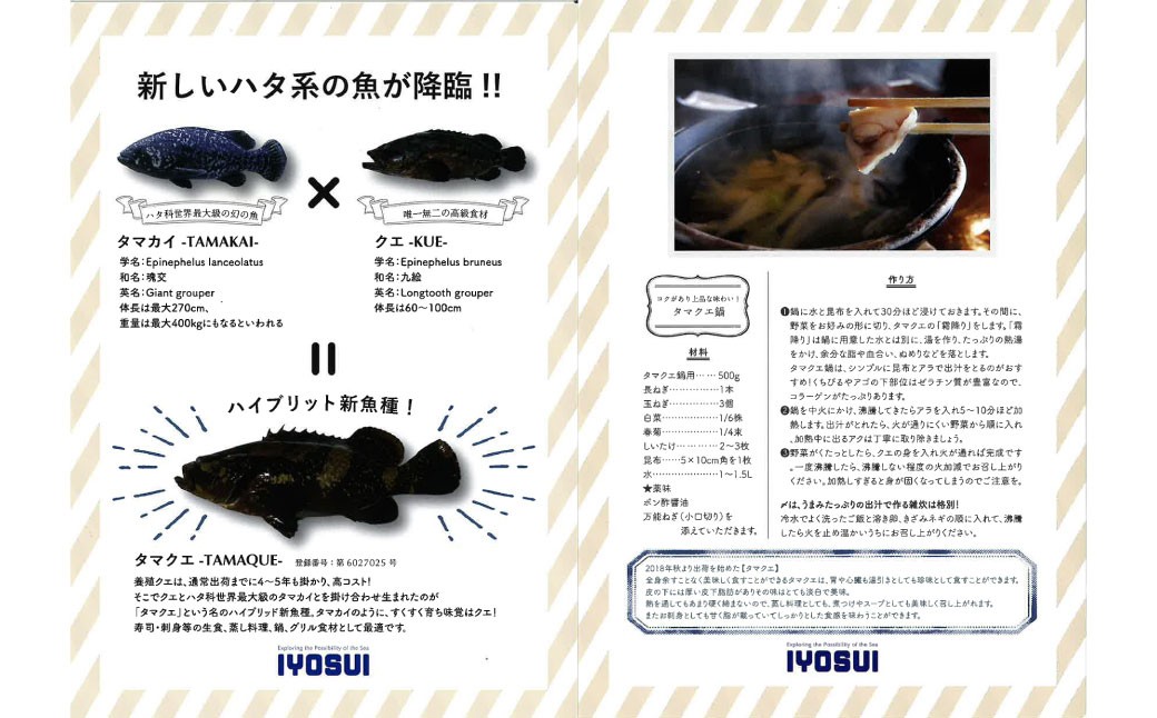 タマクエ鍋セット【えひめの町（超）推し！（愛南町）】(1032)