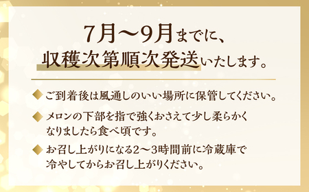 【9月発送】メロン 2L × 1玉 日研農園 ／ メロン めろん 先行予約 フルーツ 果物 アールスメロン 青肉メロン 旬 夏 厳選 高級 人気 デザート メロン ゼリー 贈答用 贈答品 贈答 メロン