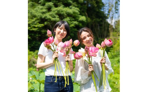 
            花ハス取り体験１名様
          