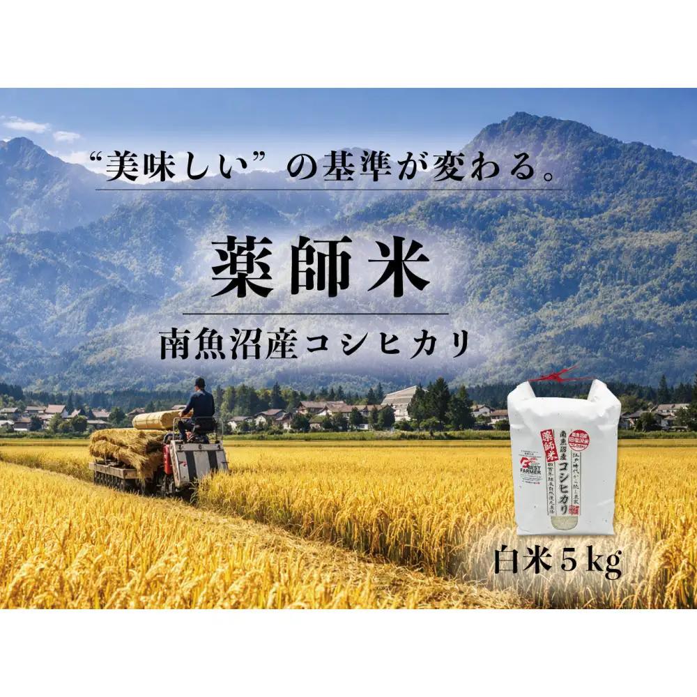 【令和８年新米予約】【南魚沼市食味コンテスト優秀賞】南魚沼産コシヒカリ 白米5kg｜薬師米（農家直送）｜コシヒカリ【2026年10月上旬より順次発送予定】