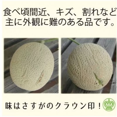 【毎月定期便】【訳あり品】クラウンメロン1玉・7ヵ月毎月お届け全7回【配送不可地域：離島・北海道・沖縄県】