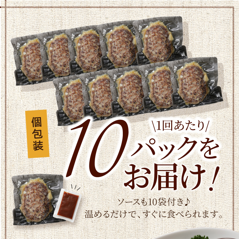 【6回定期便】本格調理済ハンバーグ10食 特製ソース付【001-0379】