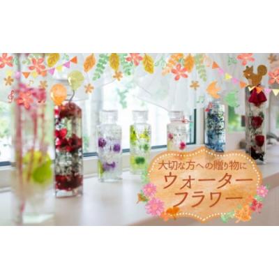 ふるさと納税 新宮町 プレゼントに人気♪ウォーターフラワー(2本セット).BB048