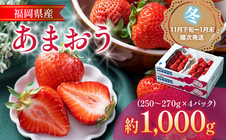 
福岡産【冬】あまおう 4パック 合計約1000g～1080g 約1kg （1パックあたり約250g～約270g） いちご 苺 果物 フルーツ 九州産 福岡県産 冷蔵 送料無料【11月下旬発送開始予定】
