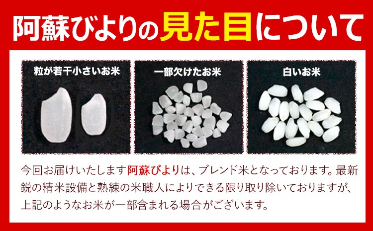 無洗米 訳あり 選べる 5kg 10kg 12kg 15kg 18kg 20kg 熊本県産 阿蘇びより《11月-12月頃出荷予定(土日祝除く)》 お米 コメ こめ 国産 熊本県 南阿蘇村 阿蘇 びより---mna_aby_24_m_5kg_9500_af11---