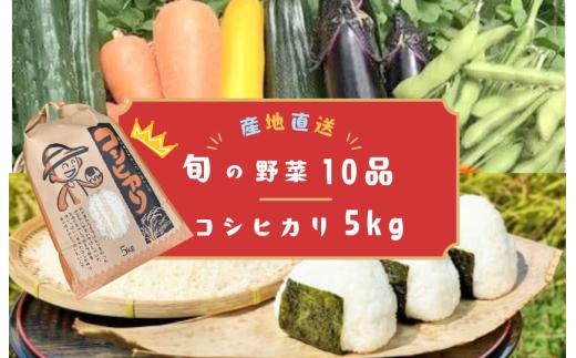 【数量限定】千葉・我孫子の農家直送コシヒカリ＆旬の野菜たっぷり10品
