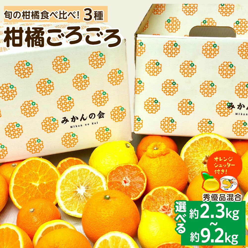 【ふるさと納税】旬の柑橘食べ比べ 柑橘ごろごろ 3種 箱込 2.5kg～10kg 秀品 優品 混合 和歌山県産 産地直送 【おまけ付き】【みかんの会】 | 和歌山県 みかん 有田川町 柑橘 セット 果物 フルーツ ふるさと納税 ご当地 名産 特産 返礼品 有田