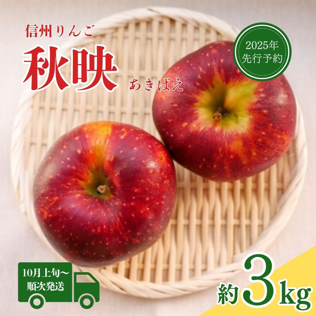 【ふるさと納税】 【2025年先行予約】【10月上旬頃~発送予定】秋映 りんご 約3kg | 秋映 りんご三兄弟 長野県 千曲市 信州りんご 果実 林檎 リンゴ フルーツ 果物