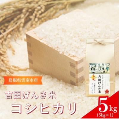 ふるさと納税 雲南市 島根県雲南市産　吉田げんき米　コシヒカリ　5kg(5kg×1)