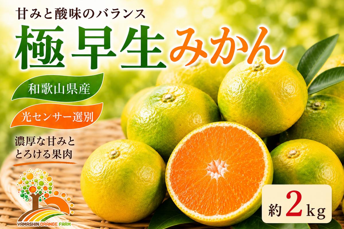 【先行予約】こだわりの極早生みかん 約2kg 農家直送 有機質肥料100% サイズ混合 ｜ みかん 極早生 早生 柑橘 果物 くだもの 果実 フルーツ 和歌山 有田