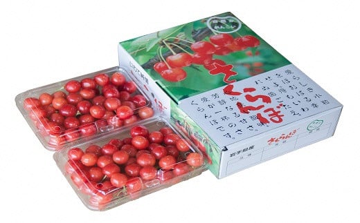 
            二戸産 さくらんぼ 【紅秀峰】 約700g 【2025年7月中旬発送開始】 ／サクランボ フルーツ 果物 くだもの チェリー
          