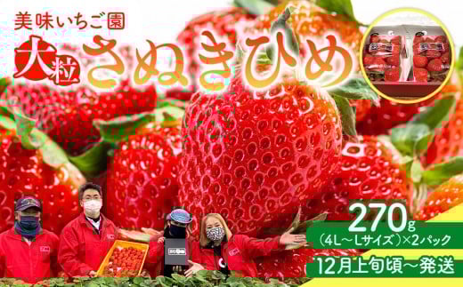 
            【12月上旬頃～発送】美味いちご園「さぬきひめ」大粒 270g×2パック
          