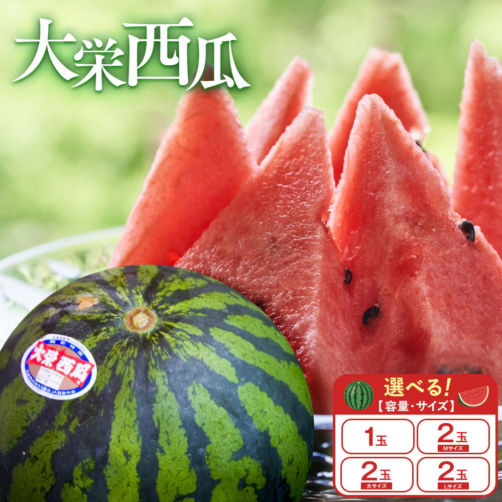 【ふるさと納税】998.【選べる容量・サイズ】＼2026年産先行予約／ 大栄西瓜【1玉/2玉大/2玉M/2玉L】※2026年6月中旬～7月中旬頃に順次発送予定 | 西瓜 スイカ 果物 フルーツ くだもの 鳥取県 北栄町 おすすめ 人気 送料無料