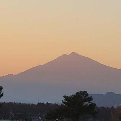 ふるさと納税 茨城県 茨城県産こしひかりミックス 白米5kg 令和7年産 |  | 03
