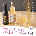 【ふるさと納税】 日本酒 奈良しゅわボールセット（春鹿超辛口2本、古都華サイダー3本）お酒 サイダー ハイボール 苺 いちご 古都華 ことか 飲み比べ 濃厚 楽天 通販 返礼品 寄付お土産 ギフト プレゼント 故郷納税 贈り物 贈答品 お祝い なら 奈良県 奈良市