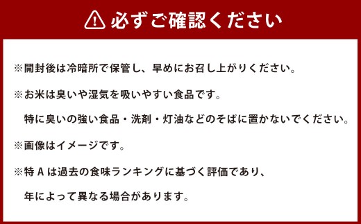 【令和7年産】 ゆめぴりか (精白米)  10kg