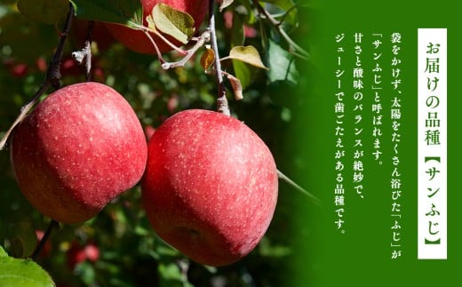 1月 サンふじ約3kg 糖度13度以上 【平川市・森山商店】 