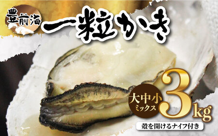 殻付き 生牡蠣 「 豊前海一粒かき (しいだ小粒がき)」 3kg 大中小サイズ ミックス / 牡蠣ナイフ付き 《築上町》【築上町蓄養殖部会】 牡蠣 かき カキ[ABAY007] 牡蠣 牡蛎 カキ かき