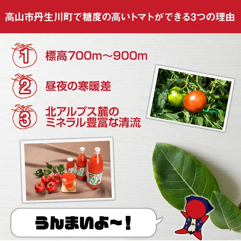 トマトジュース 1L×6本入  トマトジュース LS006VC13