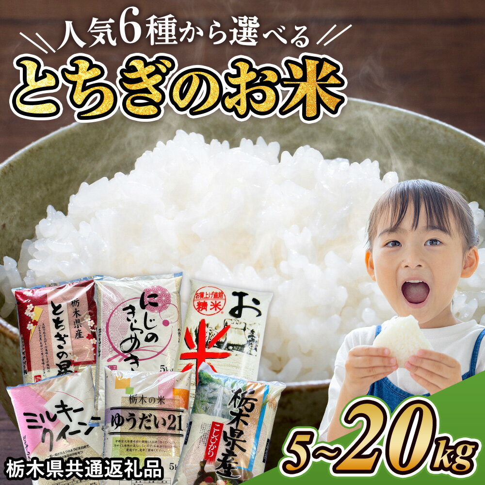 【ふるさと納税】楽天限定 米 栃木県産 ブレンド米 コシヒカリ ゆうだい21 とちぎの星 ミルキークイーン にじのきらめき 5kg 10kg 20kg【選べる品種・内容量】【栃木県共通返礼品】 | 米 最短5営業日 発送 定期便 総合ランキング16位 楽天限定寄附額 訳あり