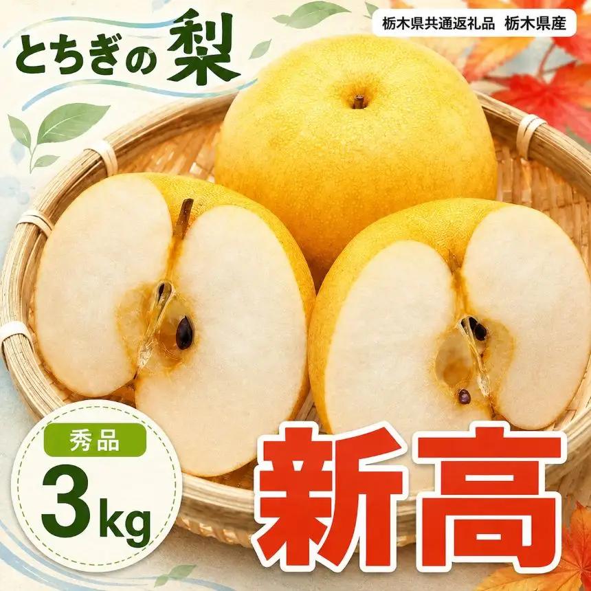 梨 新高 秀品 3kg 【栃木県共通返礼品】栃木県産