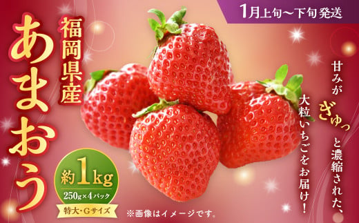 福岡県産 あまおう 1000g（250g×4パック）1kg 特大 Gサイズ 大粒 いちご 苺 あまおう 果物 くだもの フルーツ 九州産 福岡県 大刀洗町 【2025年1月上旬～下旬発送予定】