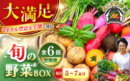 【全６回定期便】すずなり採れたて野菜BOX　(5～7品）【鈴也ファーム】[AKCE012]