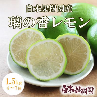 ふるさと納税 土佐市 <白木果樹園産> 璃の香レモン約1.5kg 果樹園直送(4〜7個入り)