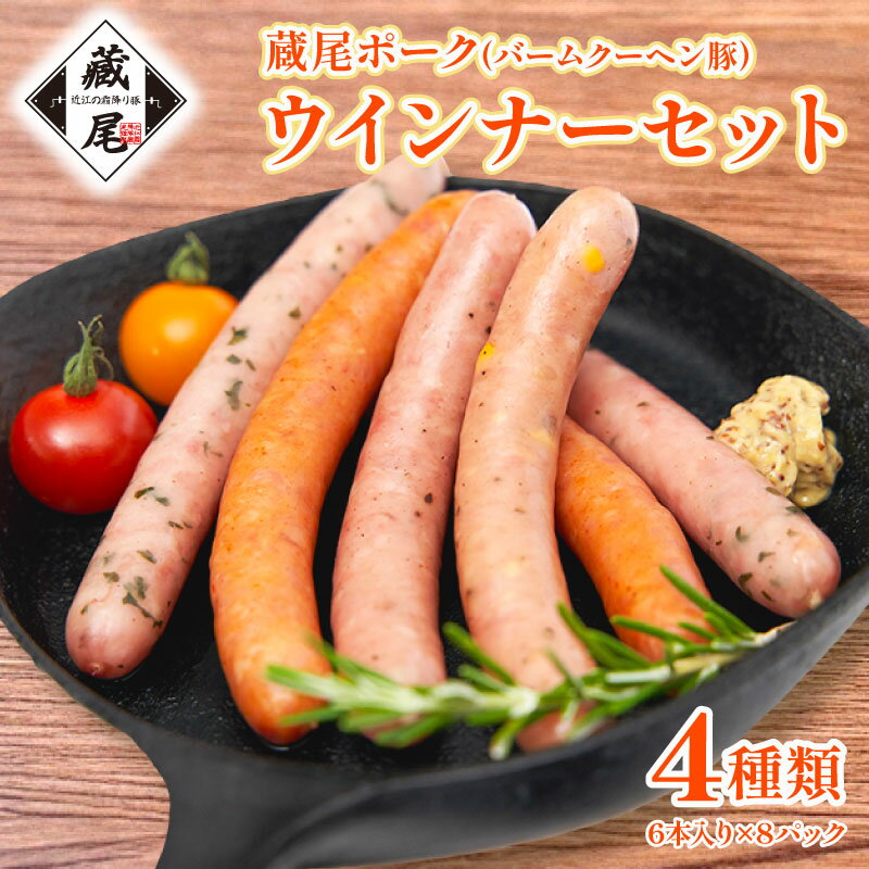 【ふるさと納税】 ウインナー セット 4種 計48本 冷凍 たっぷり 豚肉 100％ ポーク ジューシー チョリソー チーズ ソーセージ お弁当 おかず 惣菜 晩ごはん BBQ 鍋 贅沢 ギフト 贈り物 簡単 蔵尾ポーク バームクーヘン豚
