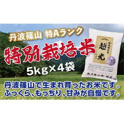 ふるさと納税 丹波篠山市 丹波篠山産　特Aランク　特別栽培米　越光(5kg×4袋　精米)