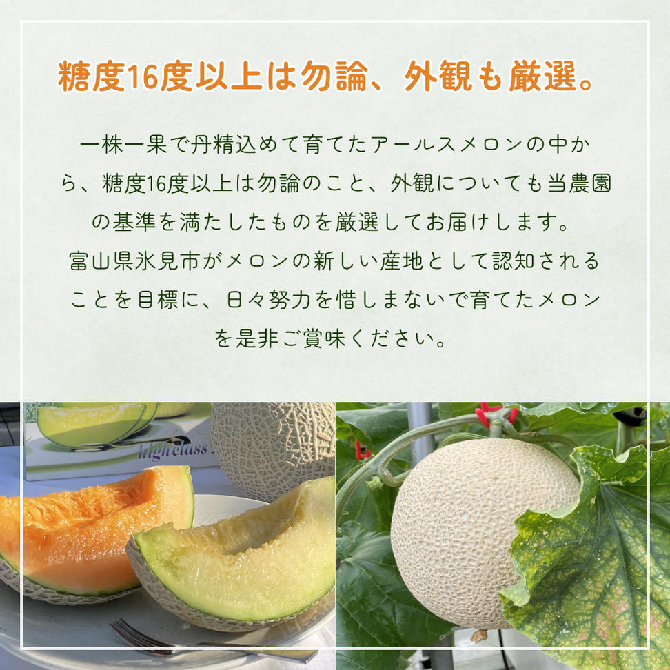 〈先行予約〉 アールスメロン 2個セット 計3.5kg以上（青肉