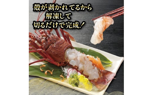 でっかい天然伊勢海老  刺身用 540g以上 冷凍 ( 特大サイズ 急速冷凍 えび エビ 高級 鮮魚 海鮮 魚介 刺身 焼き物 汁物 ギフト 贈答 贈り物 祝い 歳暮 中元 年末 年始 早期 予約 )