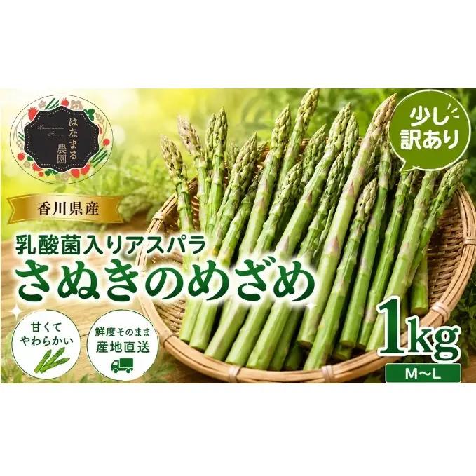 アスパラ さぬきのめざめ はなまる農園 香川県産 アスパラ【1kg M〜L】【訳あり】