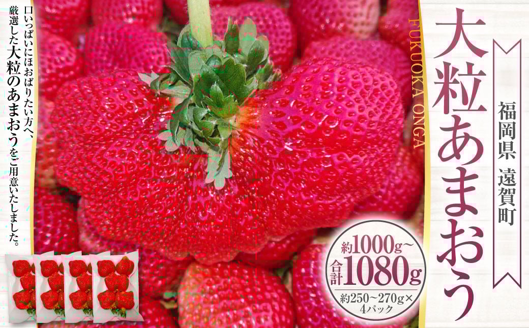 
            大粒あまおう 4パック 計約1000～1080g あまおう いちご イチゴ 苺 果物 くだもの フルーツ【2026年2月上旬～4月上旬発送予定】
          