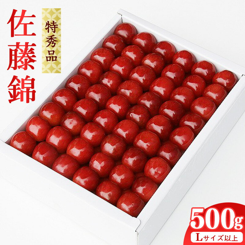【ふるさと納税】 《先行予約》 令和8年産 【厳選】 さくらんぼ 「 佐藤錦 」 500g 特秀品 L以上 化粧詰 2026年産 山形産 【2026年6月上旬頃〜6月下旬頃発送予定】 ※配送不可 沖縄・離島お取り寄せ フルーツ 果物 果実 くだもの サクランボ 農協 寒河江 JAさがえ西村山