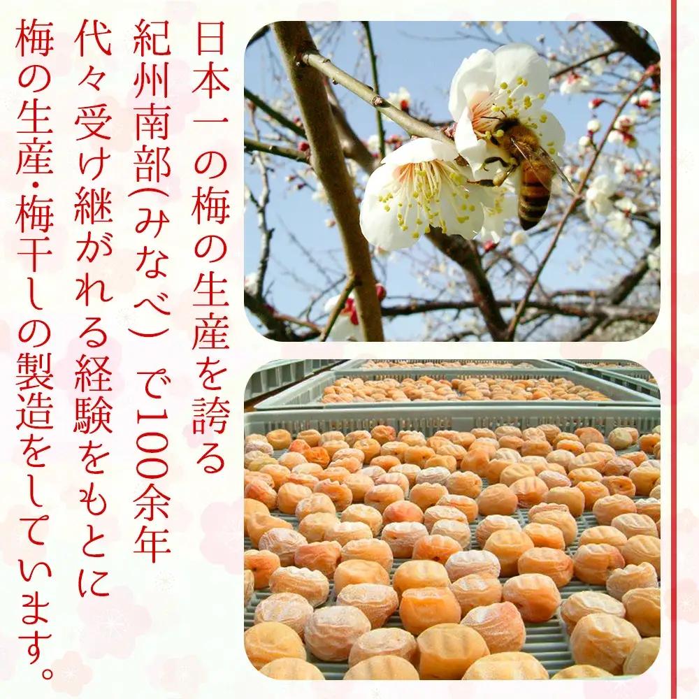 有機JAS認証「蔵出し白干梅」塩分約18％（700ｇ）　tkdkaen007A【tkdkaen007A】